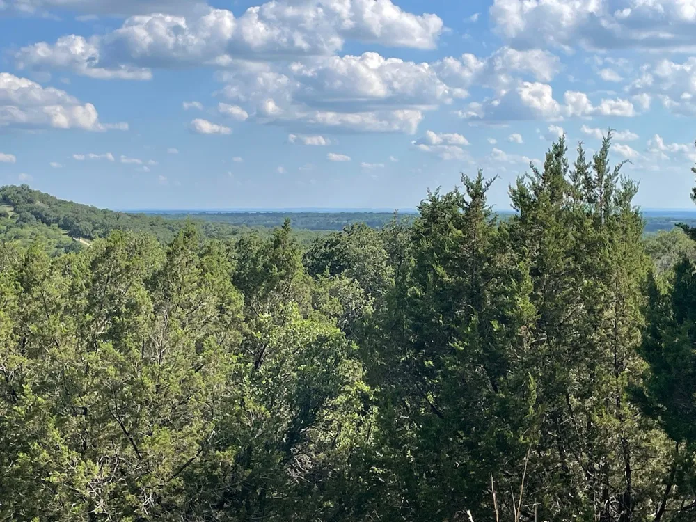 Pecan Shell Road Desdemona, TX 76445
