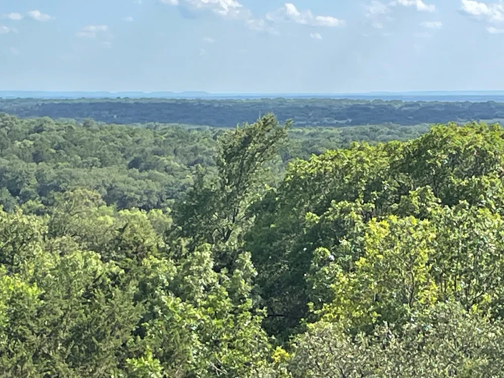 Pecan Shell Road Desdemona, TX 76445
