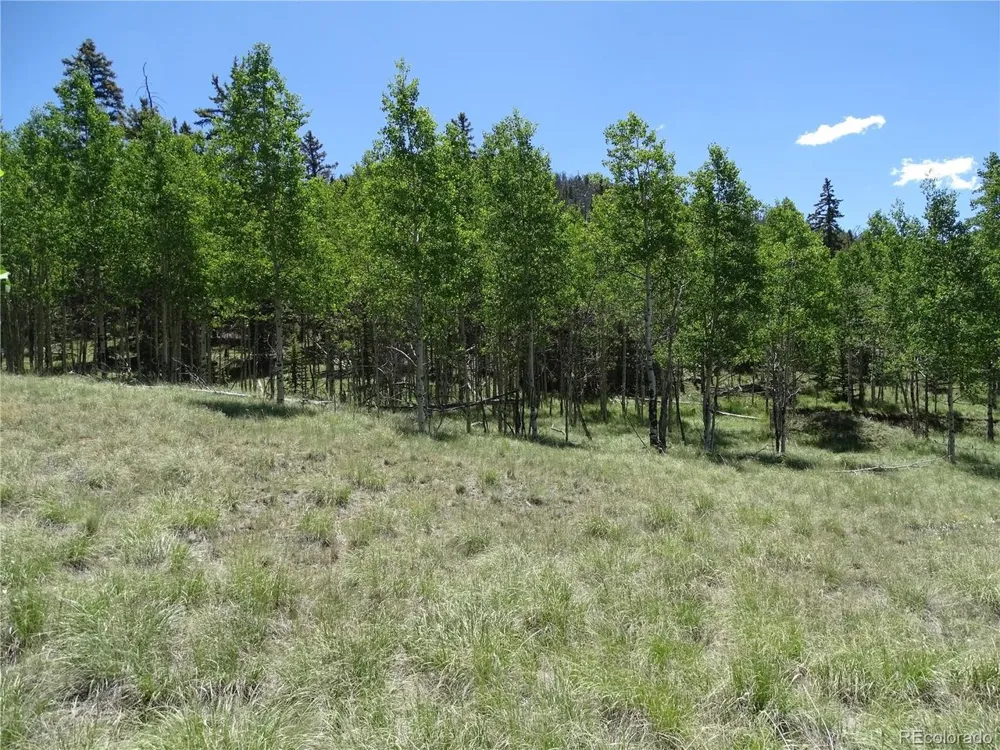 782 Bowstring Road Como, CO 80432