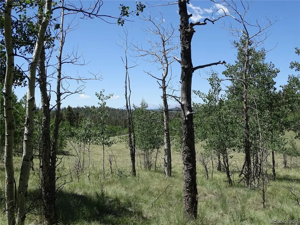 782 Bowstring Road Como, CO 80432
