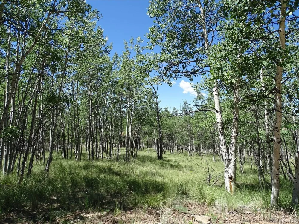 782 Bowstring Road Como, CO 80432