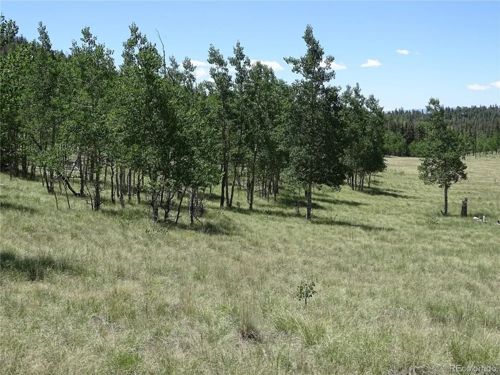 782 Bowstring Road Como, CO 80432