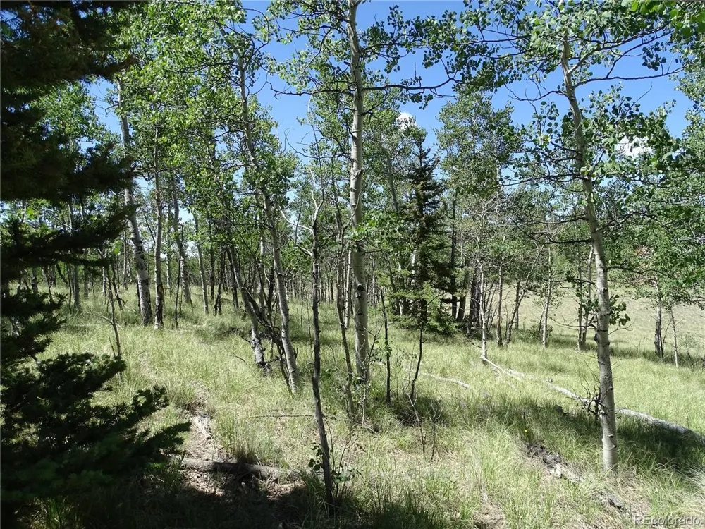 782 Bowstring Road Como, CO 80432