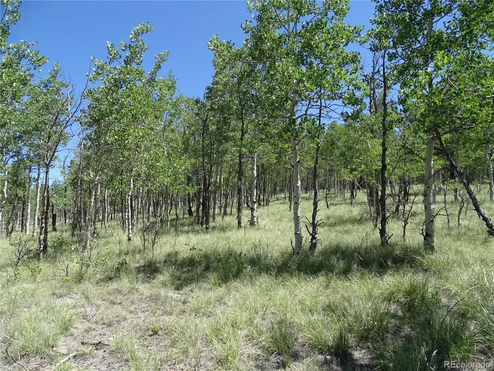 782 Bowstring Road Como, CO 80432