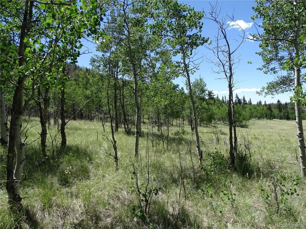 782 Bowstring Road Como, CO 80432