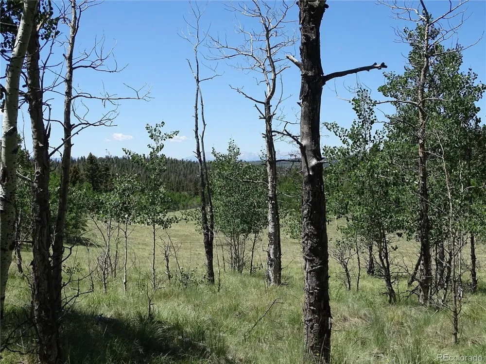 782 Bowstring Road Como, CO 80432