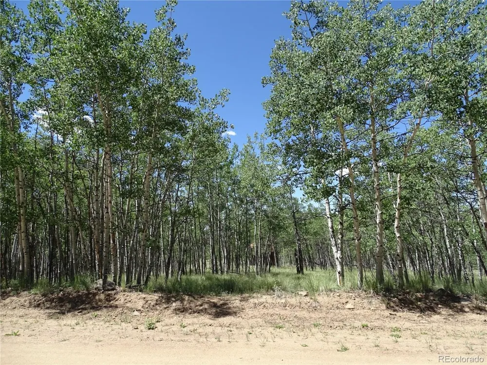 782 Bowstring Road Como, CO 80432