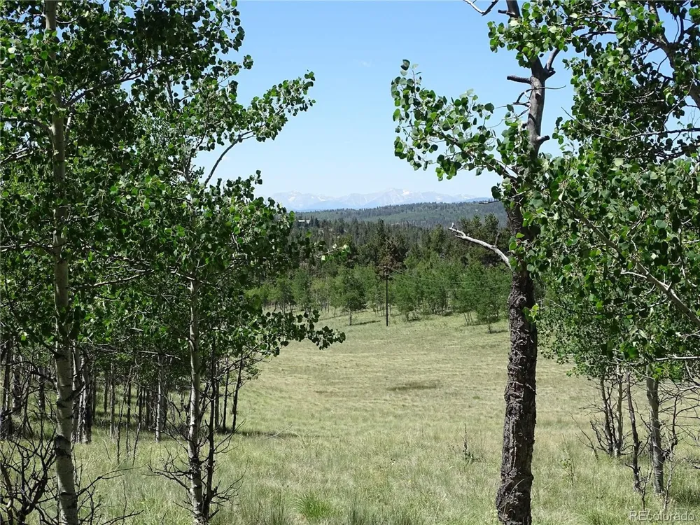 782 Bowstring Road Como, CO 80432