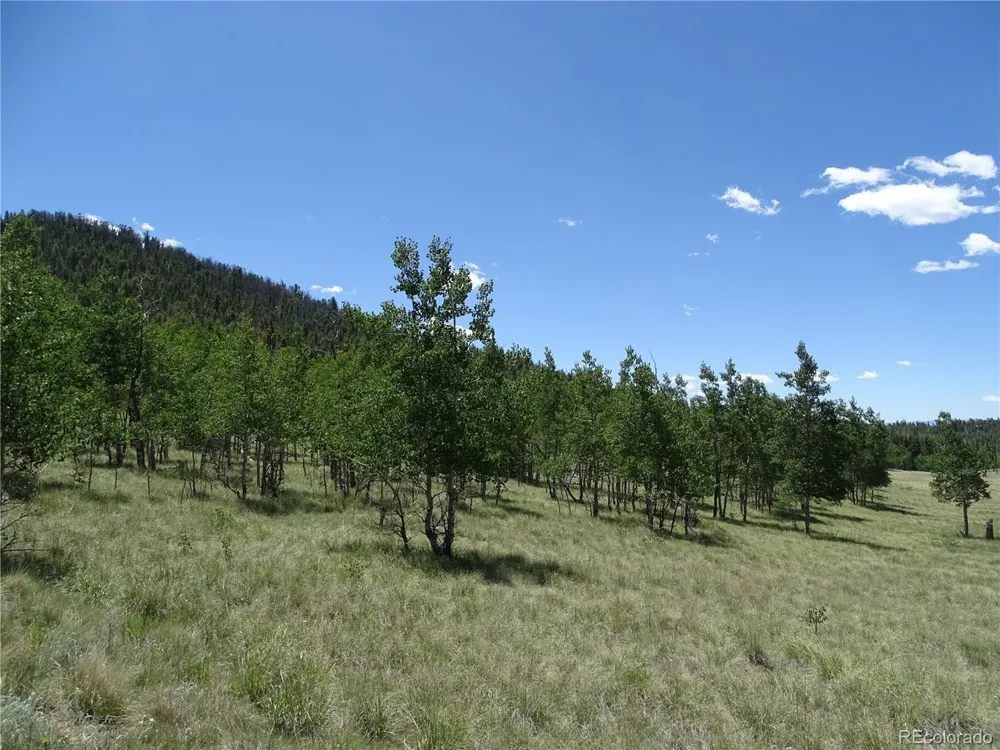 782 Bowstring Road Como, CO 80432