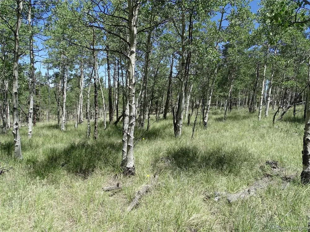 782 Bowstring Road Como, CO 80432