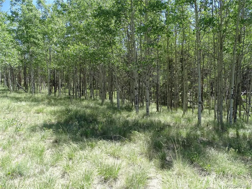 782 Bowstring Road Como, CO 80432