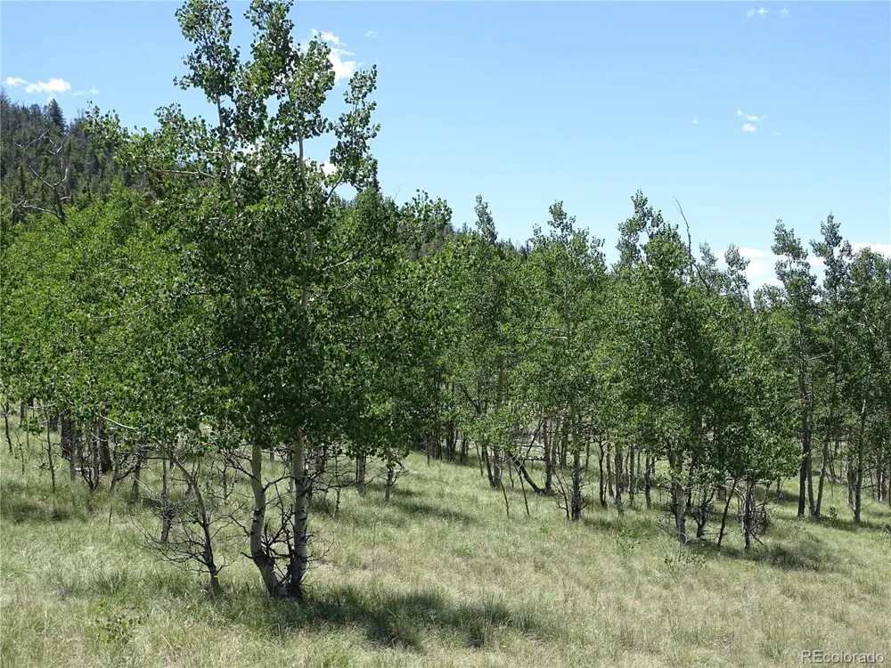 782 Bowstring Road Como, CO 80432