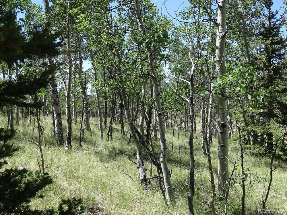 782 Bowstring Road Como, CO 80432