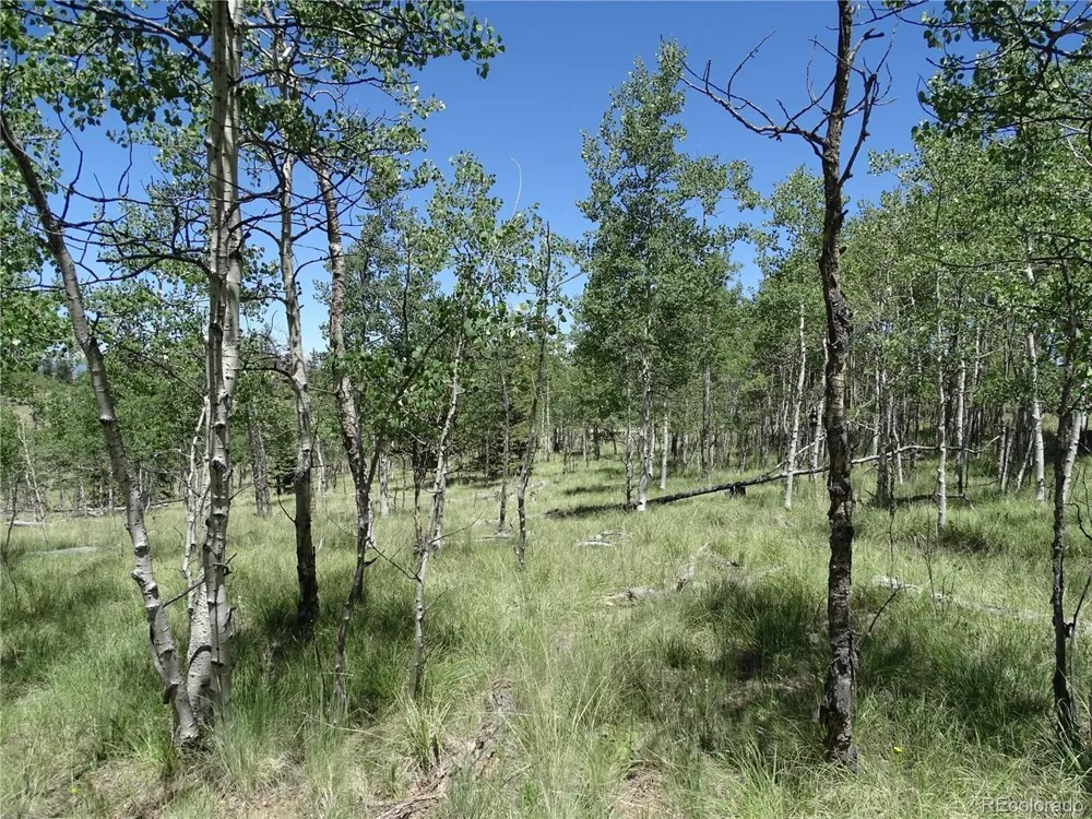 782 Bowstring Road Como, CO 80432