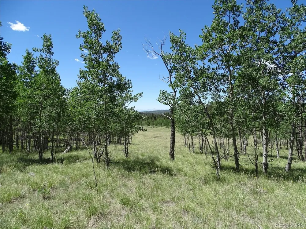 782 Bowstring Road Como, CO 80432