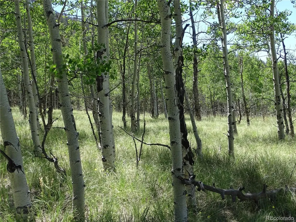 782 Bowstring Road Como, CO 80432