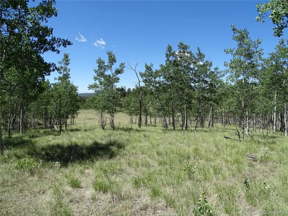 782 Bowstring Road Como, CO 80432