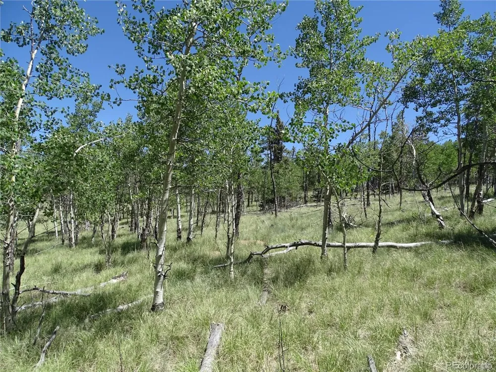 782 Bowstring Road Como, CO 80432