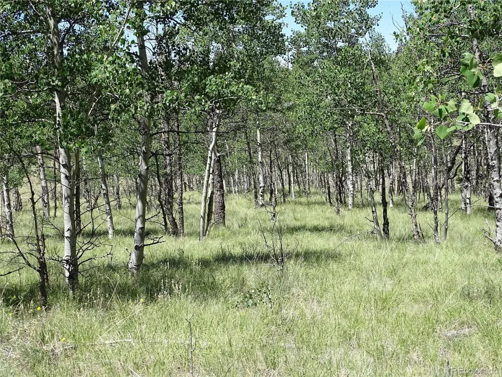 782 Bowstring Road Como, CO 80432