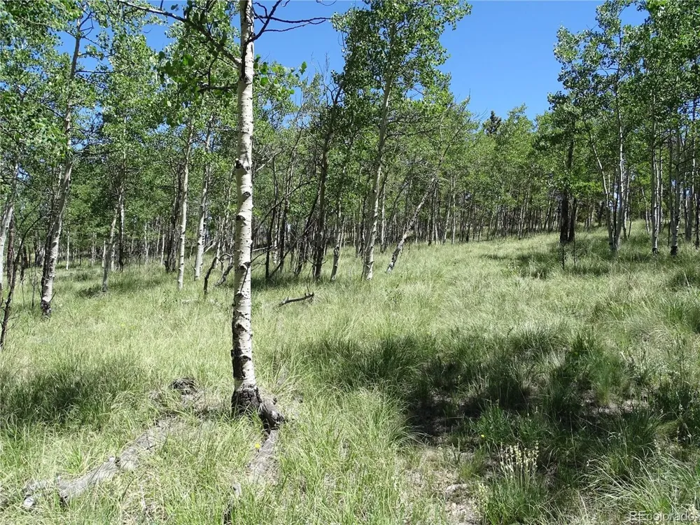 782 Bowstring Road Como, CO 80432