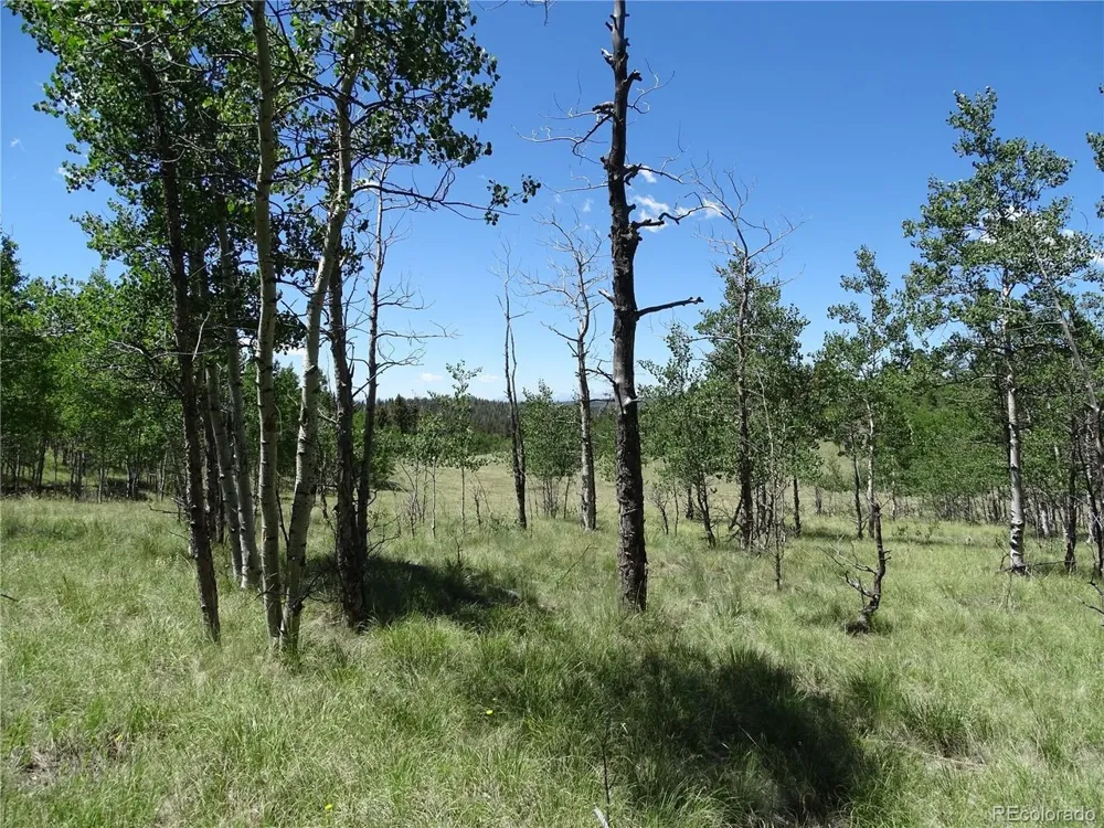 782 Bowstring Road Como, CO 80432