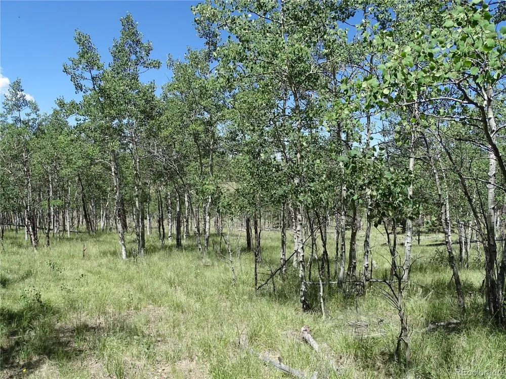 782 Bowstring Road Como, CO 80432