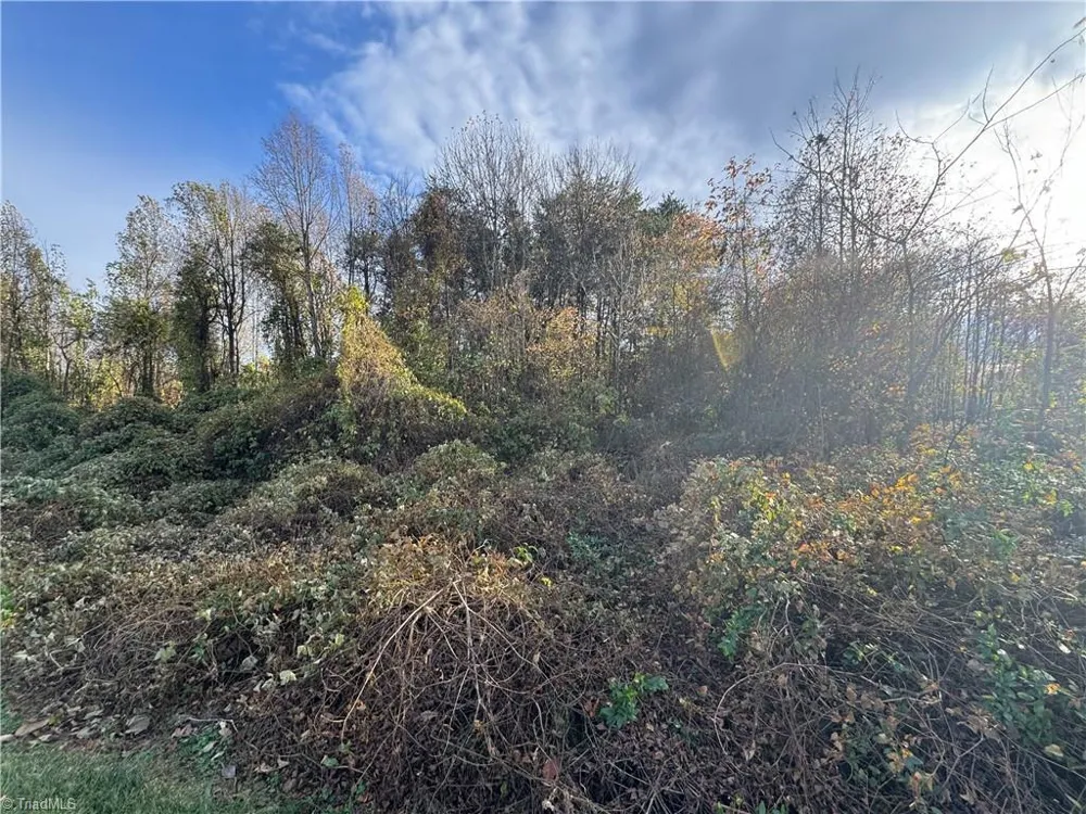 00 NE Market Street #Tract C Reidsville, NC 27320