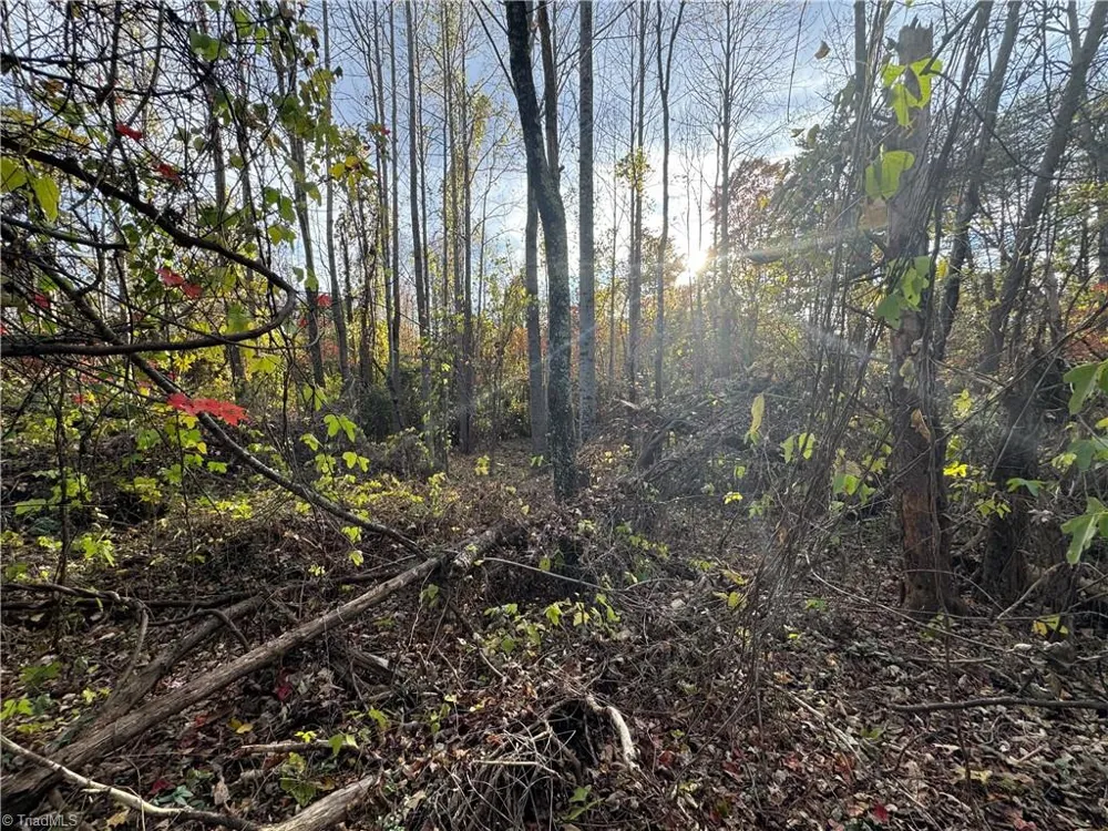 00 NE Market Street #Tract C Reidsville, NC 27320