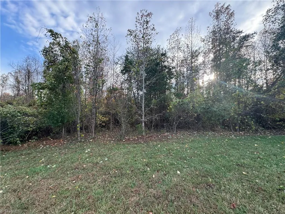 00 NE Market Street #Tract C Reidsville, NC 27320