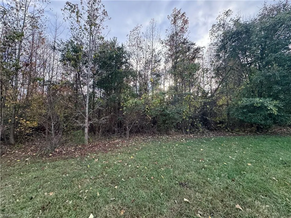00 NE Market Street #Tract C Reidsville, NC 27320