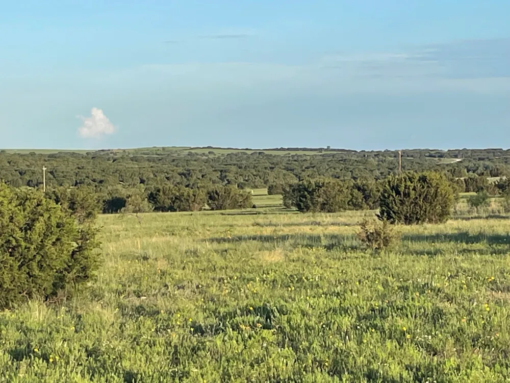 200 PR 16028 ROAD Hamilton, TX 76531