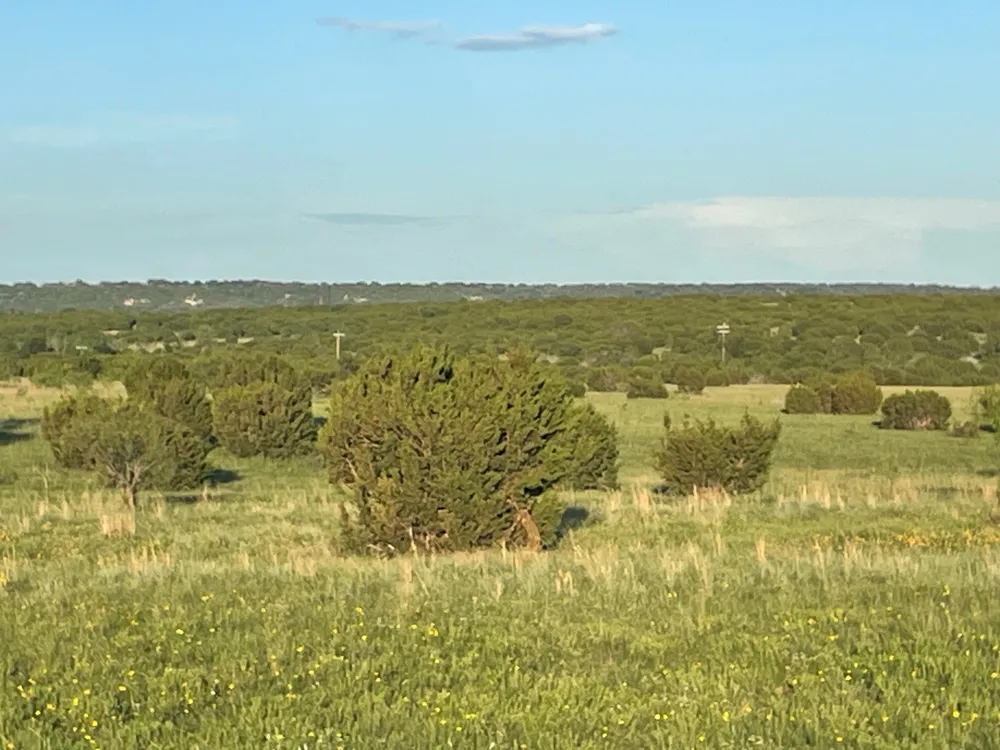 200 PR 16028 ROAD Hamilton, TX 76531