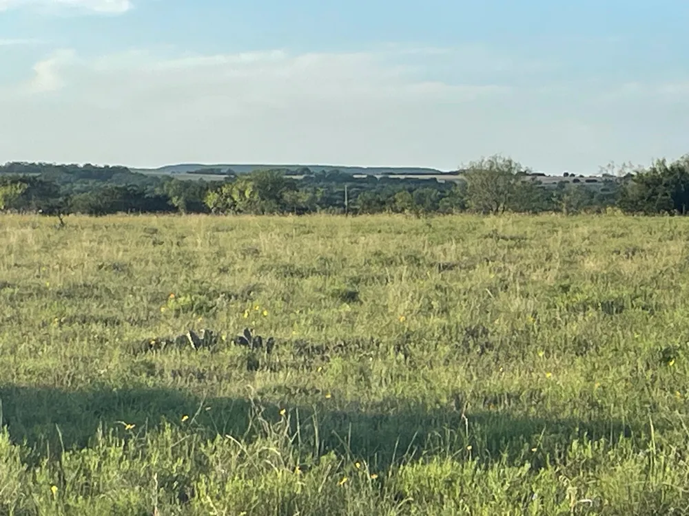 200 PR 16028 ROAD Hamilton, TX 76531