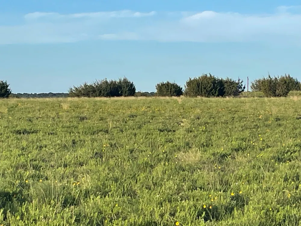200 PR 16028 ROAD Hamilton, TX 76531