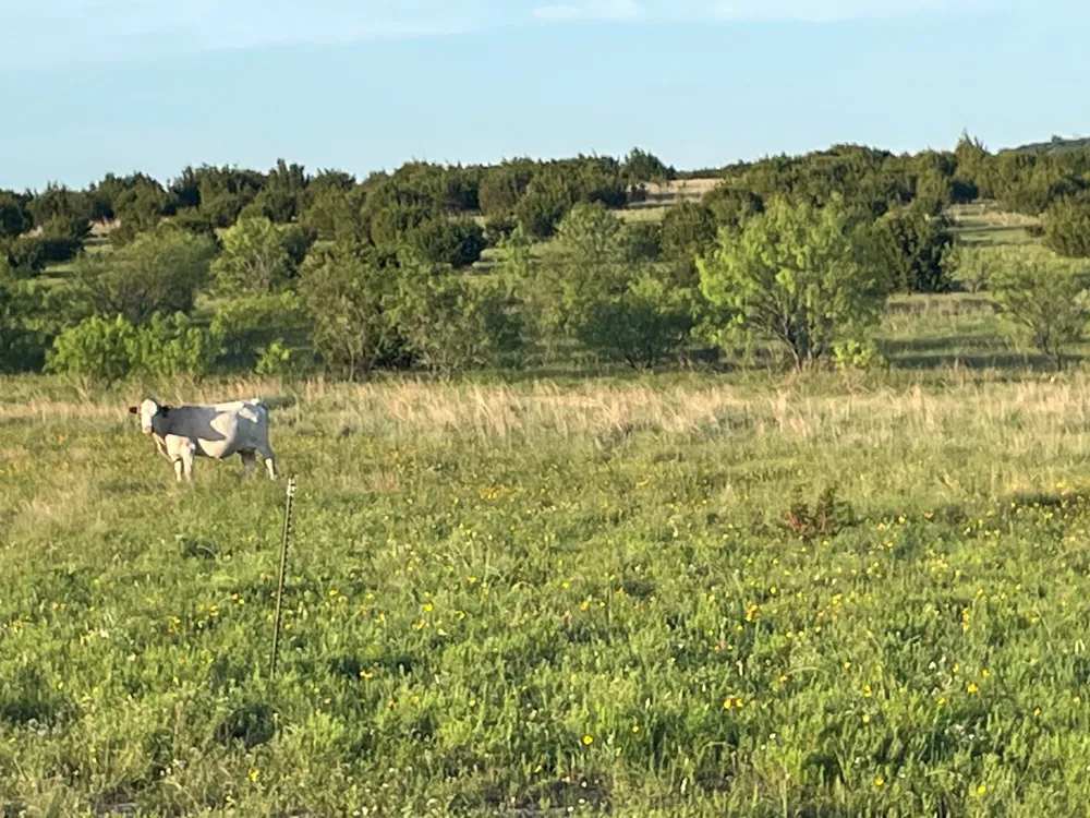 200 PR 16028 ROAD Hamilton, TX 76531