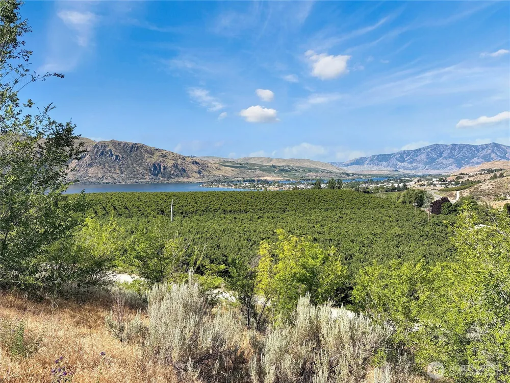 16 Columbia View Drive Brewster, WA 98812