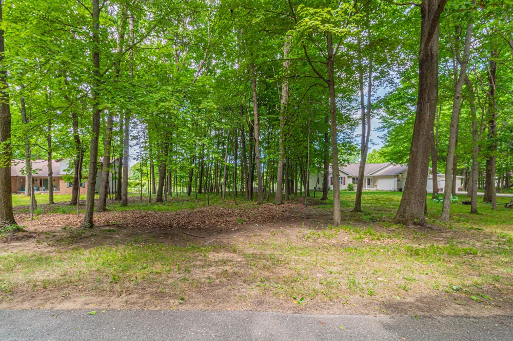 9518 Sunset Drive ##348 Canadian Lakes, MI 49346