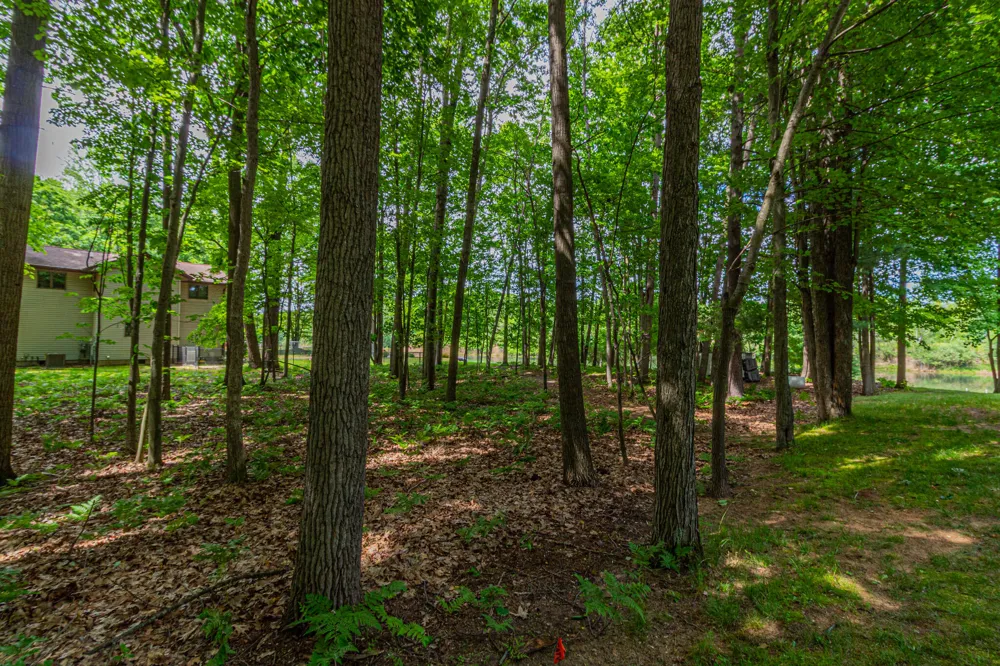 9518 Sunset Drive ##348 Canadian Lakes, MI 49346