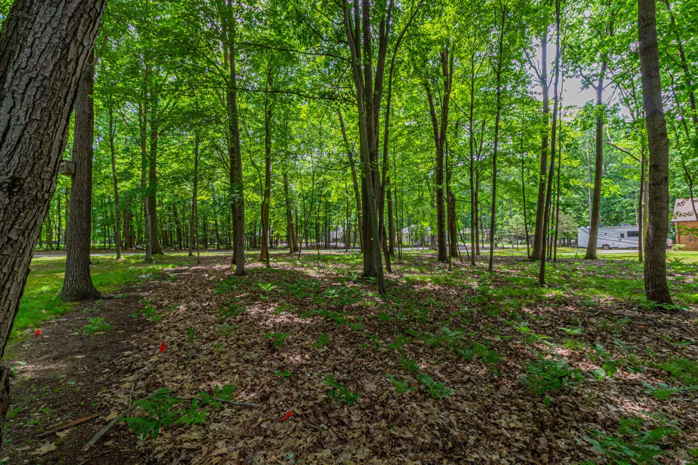 9518 Sunset Drive ##348 Canadian Lakes, MI 49346