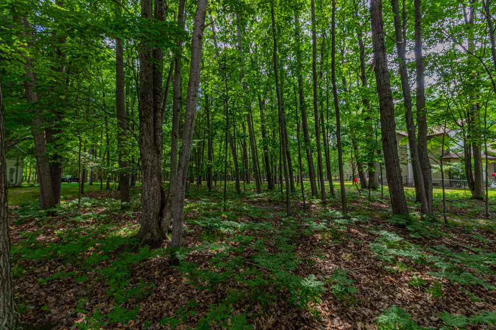 9518 Sunset Drive ##348 Canadian Lakes, MI 49346