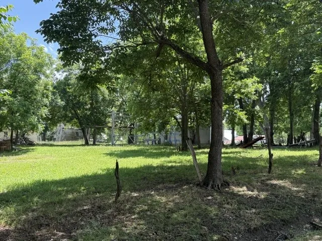 401 Paris Street Pecan Gap, TX 75469