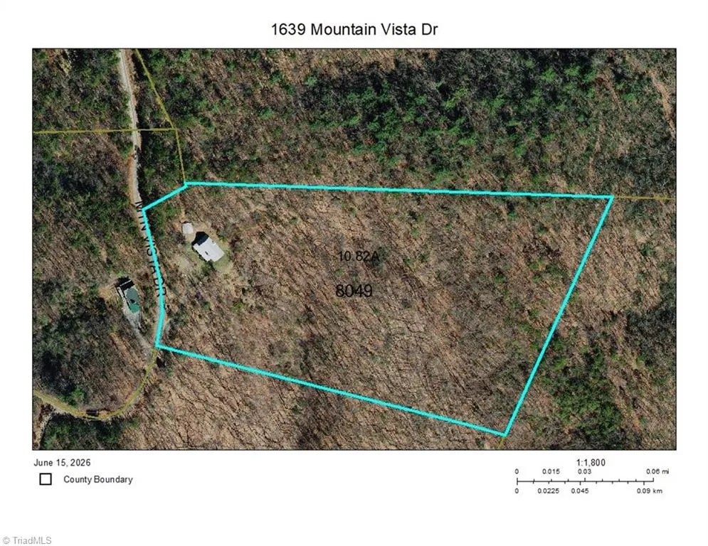 1639 Mountain Vista Drive McGrady, NC 28649