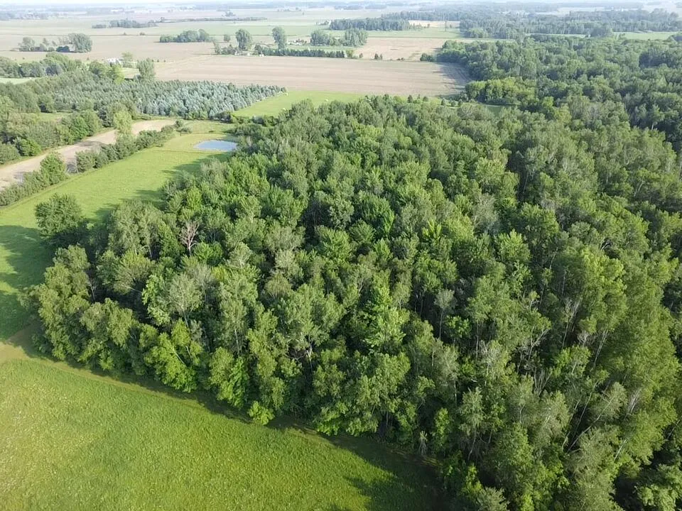 236 W Stone Road Deckerville, MI 48427
