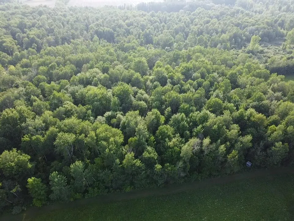 236 W Stone Road Deckerville, MI 48427