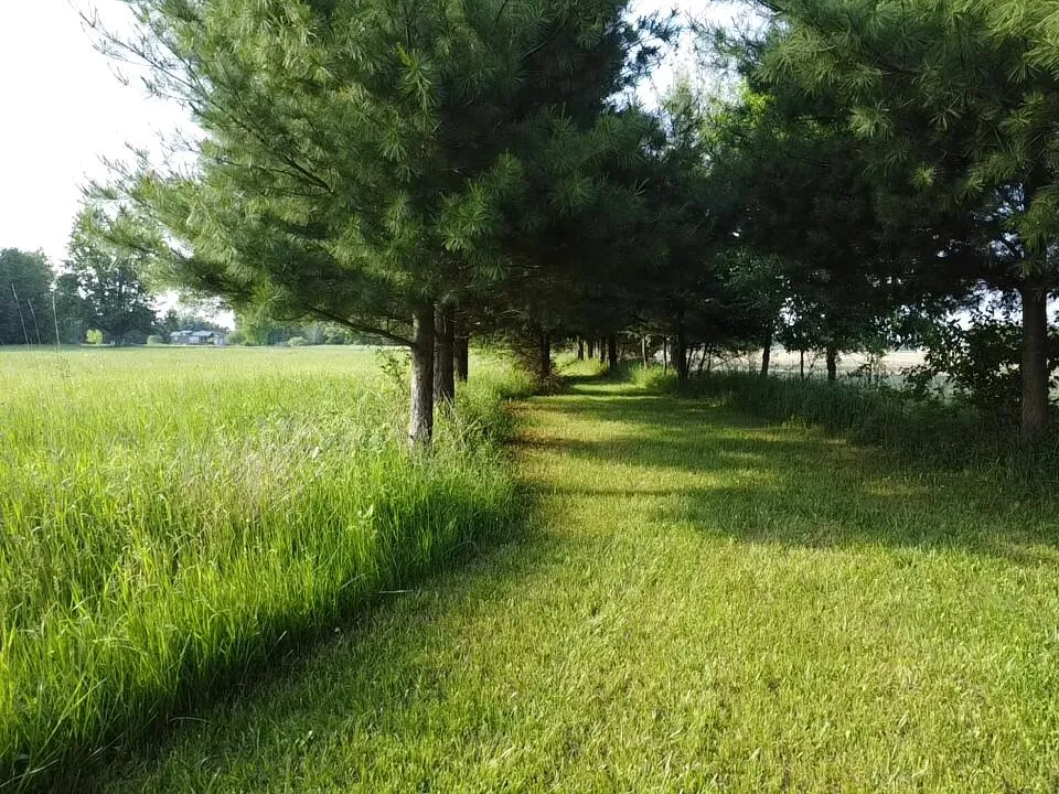 236 W Stone Road Deckerville, MI 48427