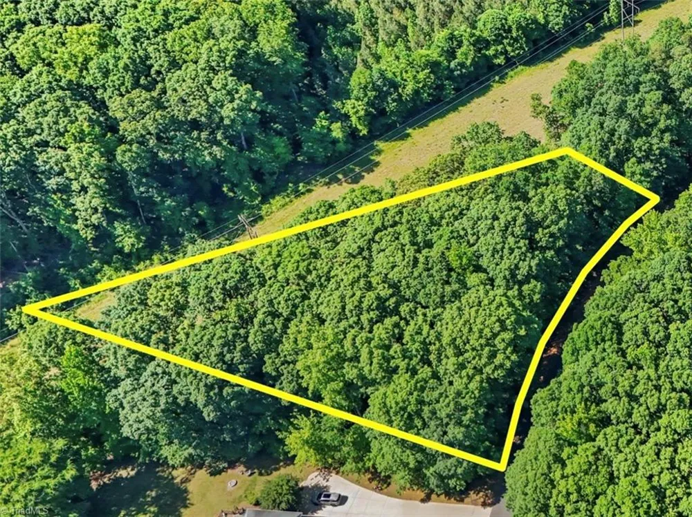 0 Pine Forest Drive S Siler City, NC 27344