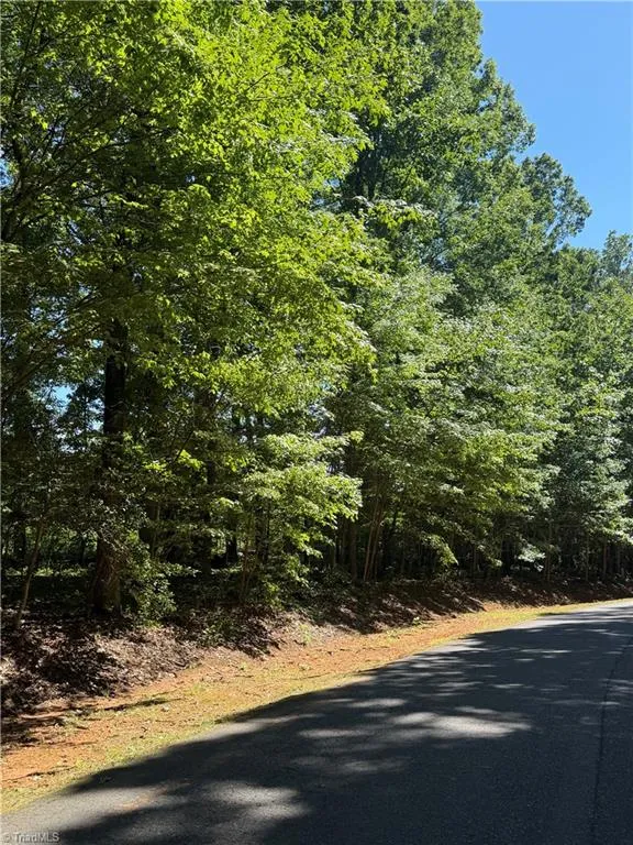 0 Pine Forest Drive S Siler City, NC 27344