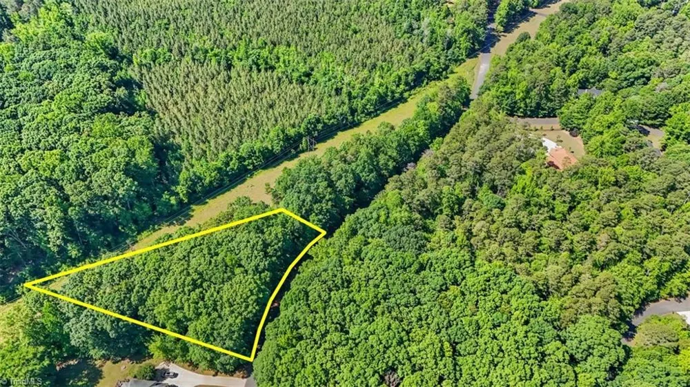 0 Pine Forest Drive S Siler City, NC 27344