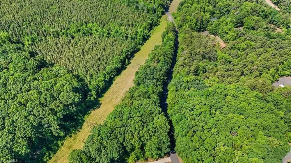 0 Pine Forest Drive S Siler City, NC 27344