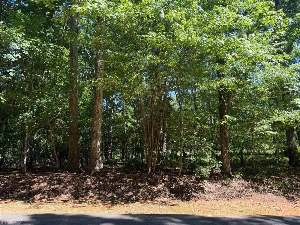 0 Pine Forest Drive S Siler City, NC 27344